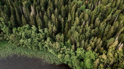 O gigante verde de US$ 1 trilhão: como os greenbonds fazem a onda ESG não ter volta O gigante verde de US$ 1 trilhão: como os greenbonds fazem a onda ESG não ter volta