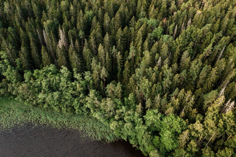 Títulos são usados para financiar recuperação de áreas verdes Títulos são usados para financiar recuperação de áreas verdes