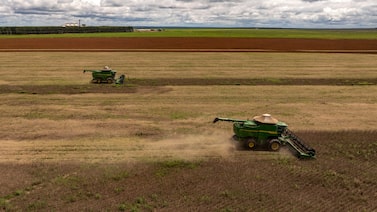 China y Brasil acuerdan suavizar los requisitos sanitarios de la soja China y Brasil acuerdan suavizar los requisitos sanitarios de la soja