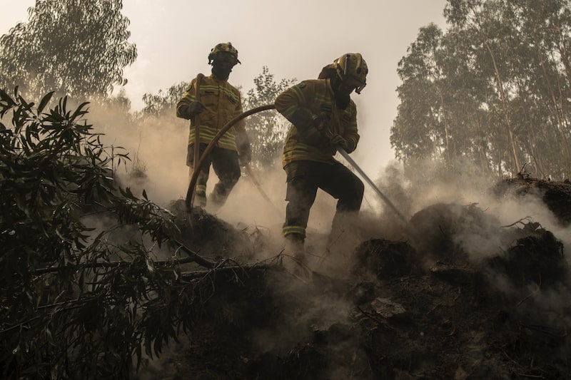 Las carteras inmobiliarias se enfrentan a un enorme impacto climático, según informe Las carteras inmobiliarias se enfrentan a un enorme impacto climático, según informe