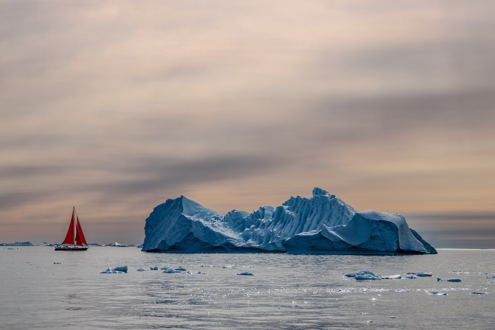 Groenlandia Groenlandia