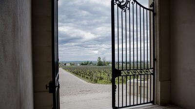 Sucessão de bilionário francês revela teia complexa de negócios, de vinhos a cerveja Sucessão de bilionário francês revela teia complexa de negócios, de vinhos a cerveja