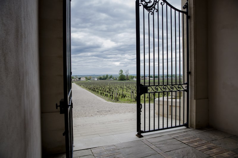 Young vines sit in the vineyard in France at the Chateau Angelus estate in Saint Emilion, France, on Thursday, April 14, 2016. Bordeaux has been a male bastion for centuries, but in the past decade a group of very 21st century women has been shaking up this boy's club. Photographer: Marlene Awaad/Bloomberg Young vines sit in the vineyard in France at the Chateau Angelus estate in Saint Emilion, France, on Thursday, April 14, 2016. Bordeaux has been a male bastion for centuries, but in the past decade a group of very 21st century women has been shaking up this boy's club. Photographer: Marlene Awaad/Bloomberg
