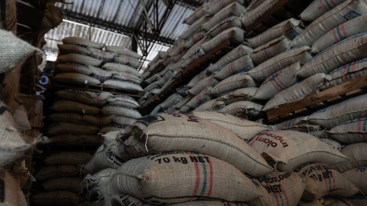 Exportaciones de café de Colombia están casi paralizadas tras el mortal sismo