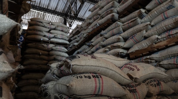 Exportaciones de café de Colombia están casi paralizadas tras el mortal sismo Exportaciones de café de Colombia están casi paralizadas tras el mortal sismo