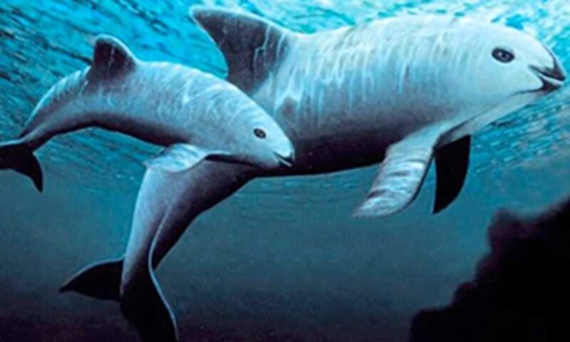 El Gobierno de EE.UU. mostró preocupación sobre el incumpliendo con los compromisos pactados en el acuerdo comercial trilateral (Cortesía: Instituto de Ecología) El Gobierno de EE.UU. mostró preocupación sobre el incumpliendo con los compromisos pactados en el acuerdo comercial trilateral (Cortesía: Instituto de Ecología)