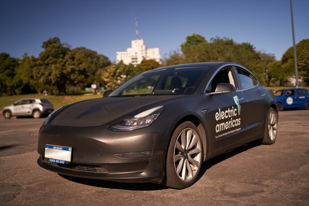 Wolf Image Wolf Image