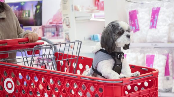 Menos TVs, mais ração: Black Friday se torna temporada de compras essenciais nos EUA Menos TVs, mais ração: Black Friday se torna temporada de compras essenciais nos EUA
