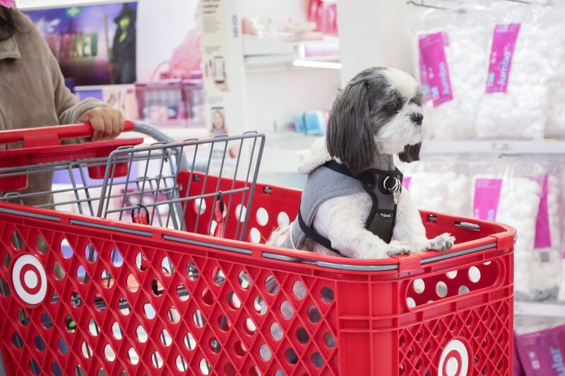 Inside A Target Store Ahead Of Black Friday Inside A Target Store Ahead Of Black Friday