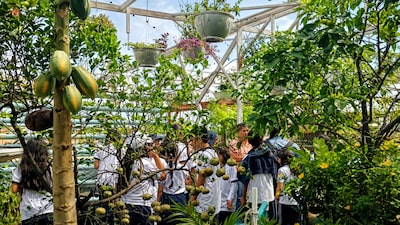 Premios Verdes 2026: la granja en el techo de una casa colombiana que busca acercar la biodiversidad a la ciudad Premios Verdes 2026: la granja en el techo de una casa colombiana que busca acercar la biodiversidad a la ciudad