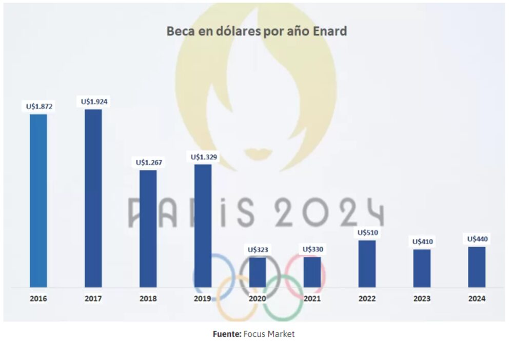 Fuente: Focus Market Fuente: Focus Market