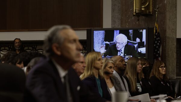 Los CEOs son objetivos perfectos para los políticos de la era de TikTok Los CEOs son objetivos perfectos para los políticos de la era de TikTok