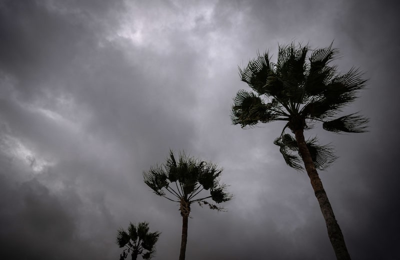La tormenta tropical Trudy se fortaleció hasta convertirse en un huracán de categoría 1 La tormenta tropical Trudy se fortaleció hasta convertirse en un huracán de categoría 1