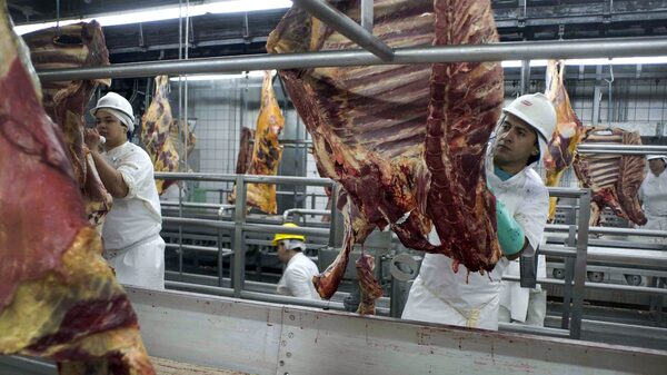 Fusão entre Marfrig e BRF deve acelerar sinergias e crescimento, diz Molina Fusão entre Marfrig e BRF deve acelerar sinergias e crescimento, diz Molina