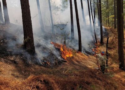 Brigadistas del Programa Padre Andrés Tamayo combaten incendios forestales en Honduras.
