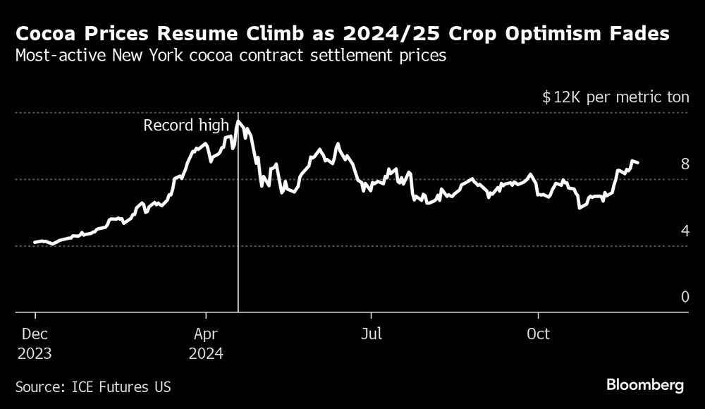 Preços de cacau na bolsa de Nova York voltam a subir Preços de cacau na bolsa de Nova York voltam a subir