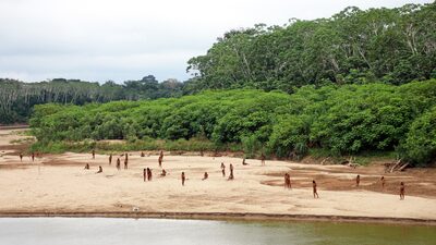 Gigante maderero amenazaría en Perú a “tribu indígena no contactada más grande del mundo” Gigante maderero amenazaría en Perú a “tribu indígena no contactada más grande del mundo”