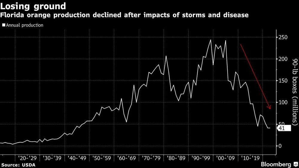 La producción de naranjas de Florida disminuyó tras el impacto de las tormentas y la enfermedad La producción de naranjas de Florida disminuyó tras el impacto de las tormentas y la enfermedad