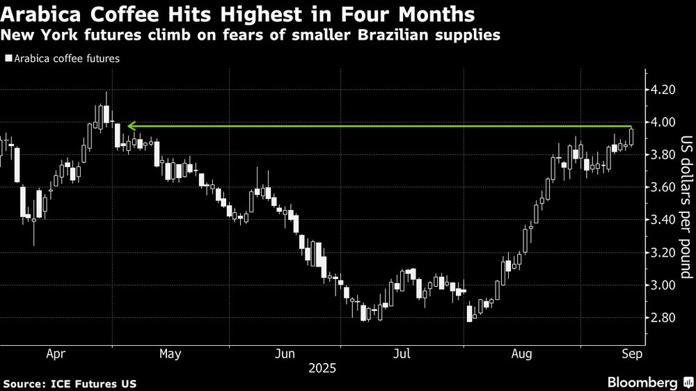 Café arábica atinge seu valor mais alto em quatro meses Café arábica atinge seu valor mais alto em quatro meses