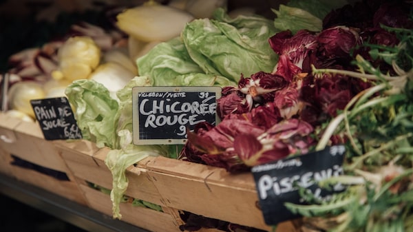 Un 14% de los alimentos cosechados en el mundo termina en la basura Un 14% de los alimentos cosechados en el mundo termina en la basura