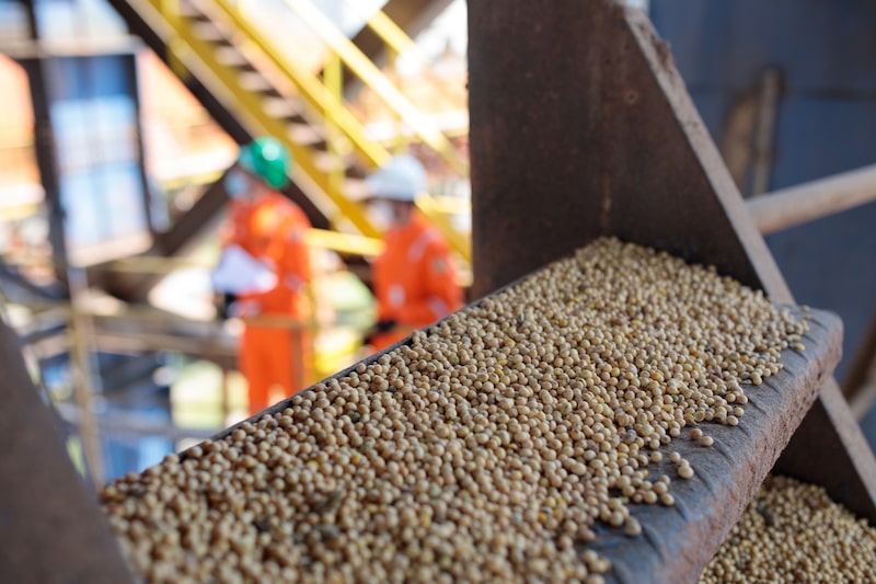 Sugar Rally Gets Boost From Soybean Woes At Port Of Santos. Sugar Rally Gets Boost From Soybean Woes At Port Of Santos.