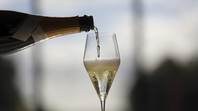 La Estrategia del Día: Los mejores vinos para brindar por un gran 2024 La Estrategia del Día: Los mejores vinos para brindar por un gran 2024