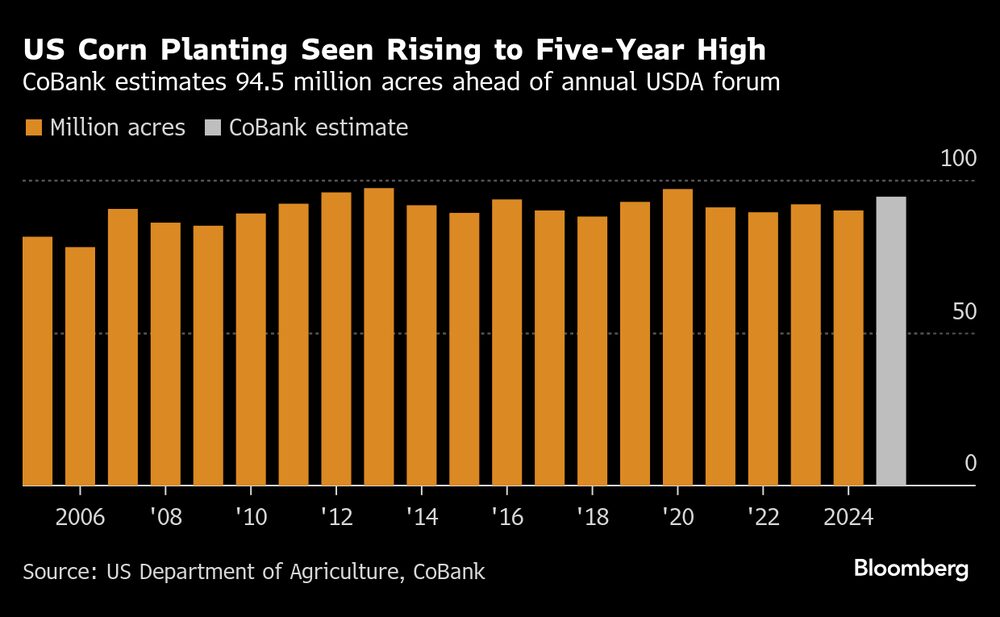 Las siembra de maíz se ha elevado a un máximo de 5 años. Las siembra de maíz se ha elevado a un máximo de 5 años.