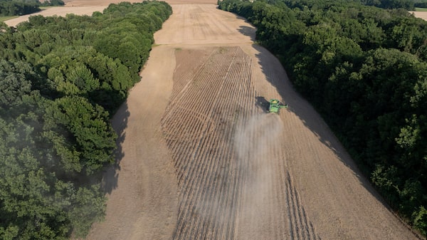 Disparada do diesel ameaça produção agrícola global e pressiona preço dos alimentos Disparada do diesel ameaça produção agrícola global e pressiona preço dos alimentos
