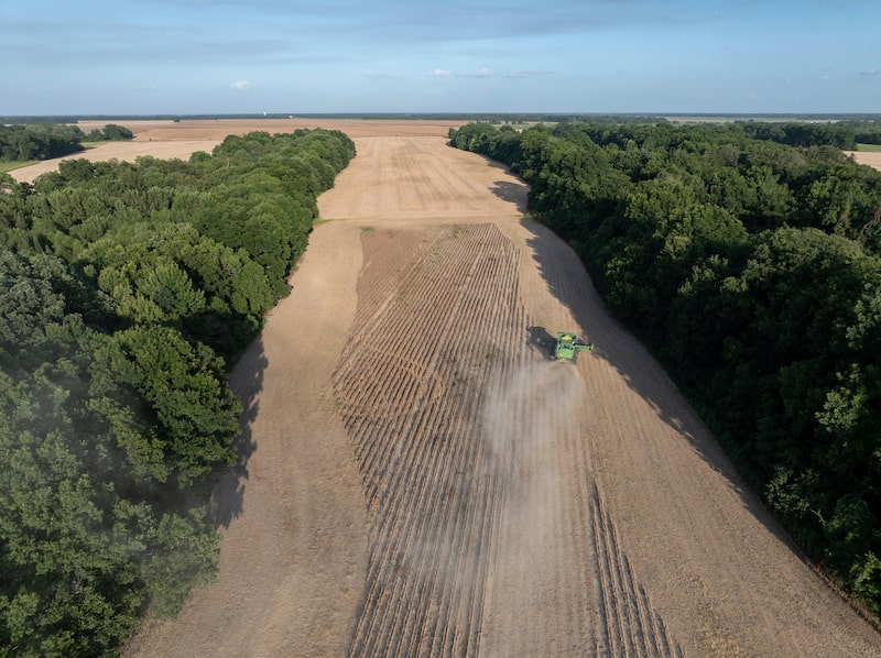 farm farm