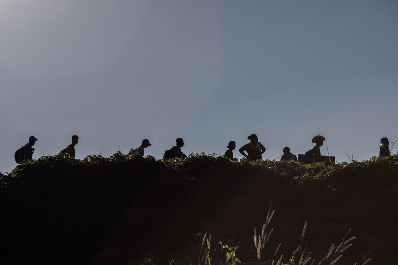 Section 353 derives from the US-Northern Triangle Enhanced Engagement Act to fight the main causes of migration from the countries in this region. Section 353 derives from the US-Northern Triangle Enhanced Engagement Act to fight the main causes of migration from the countries in this region.