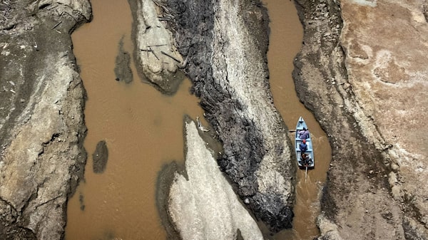 Cambio climático aumenta 30 veces la probabilidad de una grave sequía en el Amazonas Cambio climático aumenta 30 veces la probabilidad de una grave sequía en el Amazonas