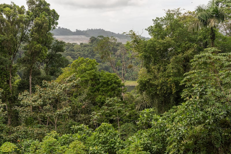 La china Jiangxi Copper compra US$212 millones en acciones de First Quantum La china Jiangxi Copper compra US$212 millones en acciones de First Quantum