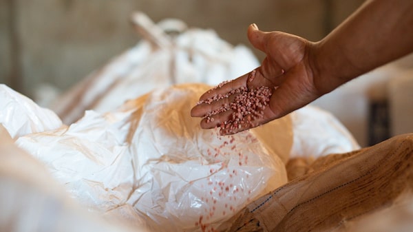 Brasil recibe fertilizantes críticos a tiempo para la siembra de soja Brasil recibe fertilizantes críticos a tiempo para la siembra de soja