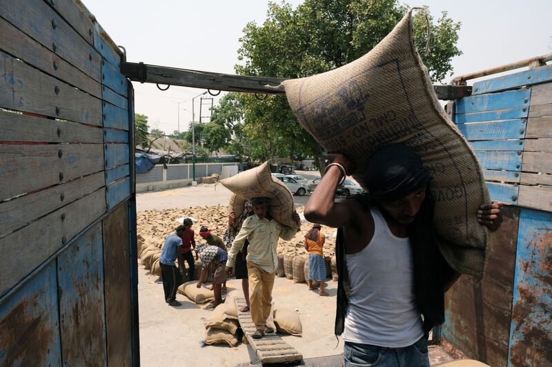 Restringir as exportações seria um golpe para a ambição da Índia de lucrar com o rali global do trigo depois que a guerra revolucionou os fluxos comerciais da região do celeiro do Mar Negro. Restringir as exportações seria um golpe para a ambição da Índia de lucrar com o rali global do trigo depois que a guerra revolucionou os fluxos comerciais da região do celeiro do Mar Negro.