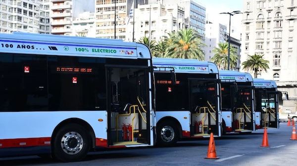 Ómnibus: así funcionarán los servicios de transporte público este 1 de enero en Uruguay Ómnibus: así funcionarán los servicios de transporte público este 1 de enero en Uruguay