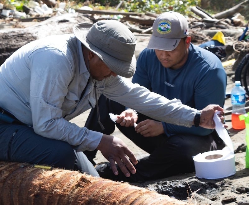 El paleontólogo marino Carlos De Gracia descubrió en Colón un fósil de pez de 6 millones de años perteneciente a la familia de los pargos. El paleontólogo marino Carlos De Gracia descubrió en Colón un fósil de pez de 6 millones de años perteneciente a la familia de los pargos.