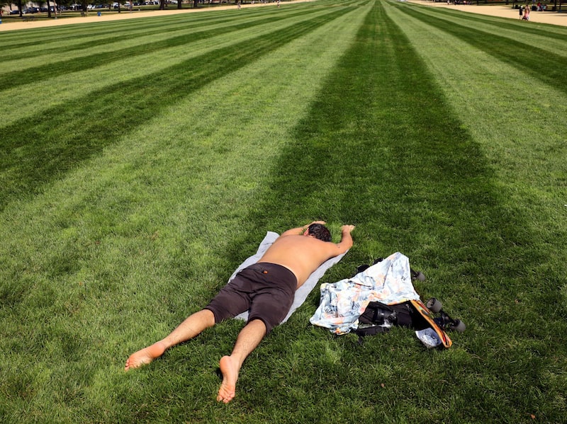 Nem todos estão só deitados. Alguns estão aproveitando esse tempo para aprender novas habilidades que irão lançar uma carreira melhor com salários mais altos e mobilidade ascendente Nem todos estão só deitados. Alguns estão aproveitando esse tempo para aprender novas habilidades que irão lançar uma carreira melhor com salários mais altos e mobilidade ascendente