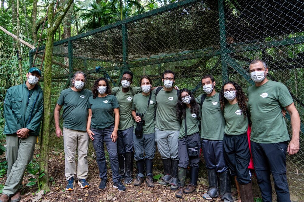 Refaunación Refaunación