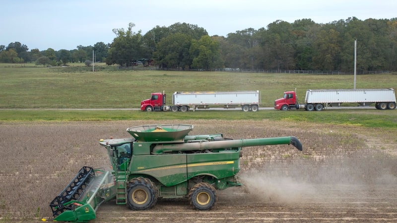 EUA dizem que China concordou em comprar US$ 17 bi em produtos agrícolas por ano EUA dizem que China concordou em comprar US$ 17 bi em produtos agrícolas por ano
