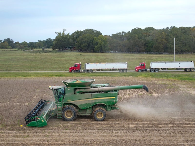 Una cosechadora trabaja durante la recolección de soja en una granja cerca de Gregory, Arkansas. Una cosechadora trabaja durante la recolección de soja en una granja cerca de Gregory, Arkansas.