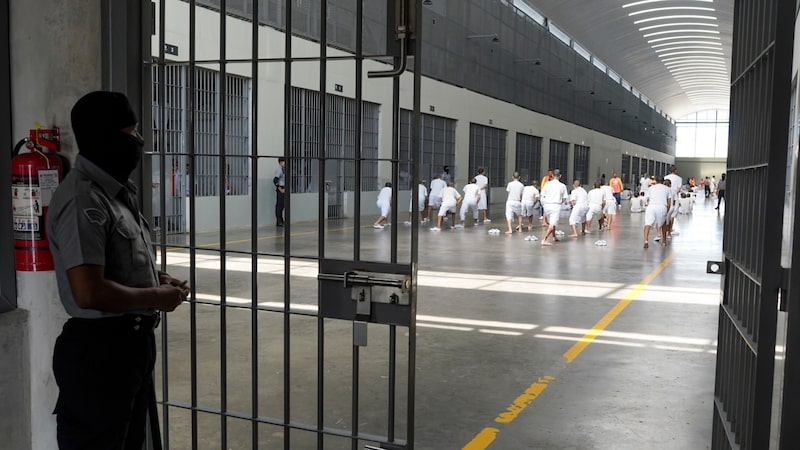 Partido de la ultraderecha británica propone deportar a presos extranjeros a El Salvador Partido de la ultraderecha británica propone deportar a presos extranjeros a El Salvador