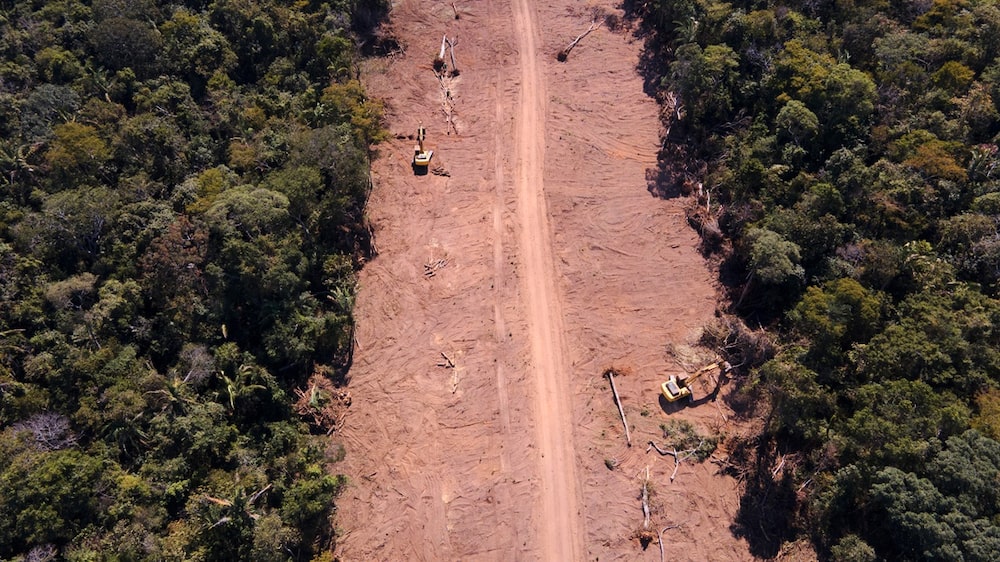Obras na BR-319 expõem disputa entre Lula e Flávio Bolsonaro sobre Amazônia e ambiente Obras na BR-319 expõem disputa entre Lula e Flávio Bolsonaro sobre Amazônia e ambiente