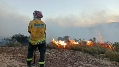 Colombia declara la catástrofe nacional por incendios forestales Colombia declara la catástrofe nacional por incendios forestales