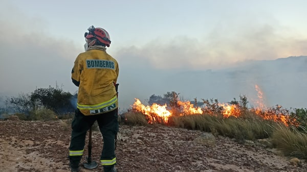 Colombia declara la catástrofe nacional por incendios forestales Colombia declara la catástrofe nacional por incendios forestales