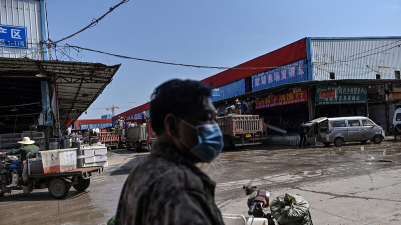 Berço da covid, Wuhan descobre tartarugas infectadas com cólera em mercado Berço da covid, Wuhan descobre tartarugas infectadas com cólera em mercado