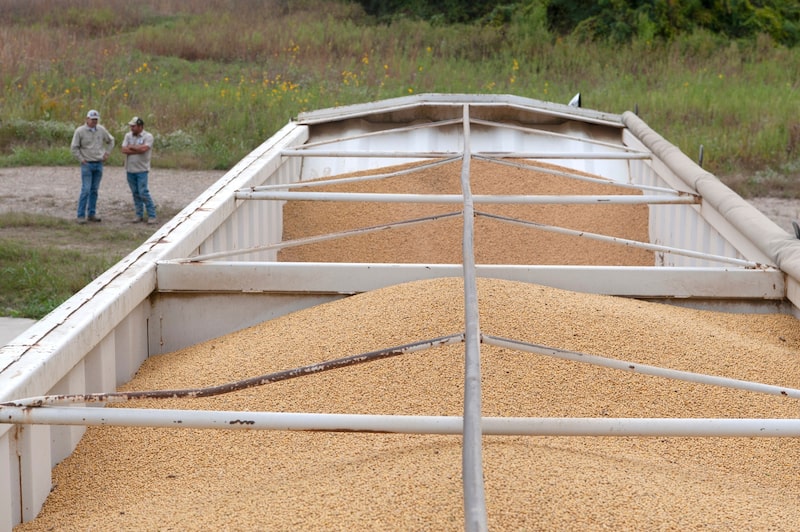 En una granja cerca de Gregory, Arkansas, los agricultores observan cómo se traslada la soja de un camión de grano a un silo de almacenamiento. Fotógrafo: Rory Doyle/Bloomberg. En una granja cerca de Gregory, Arkansas, los agricultores observan cómo se traslada la soja de un camión de grano a un silo de almacenamiento. Fotógrafo: Rory Doyle/Bloomberg.