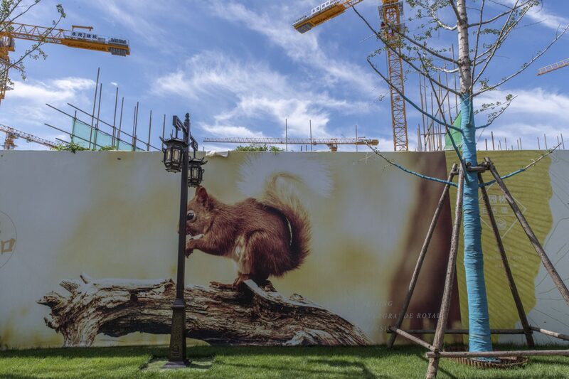 Evergrande Evergrande