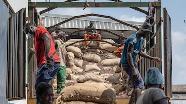 Traders adiam compras de cacau na Costa do Marfim após queda de preços, dizem fontes Traders adiam compras de cacau na Costa do Marfim após queda de preços, dizem fontes