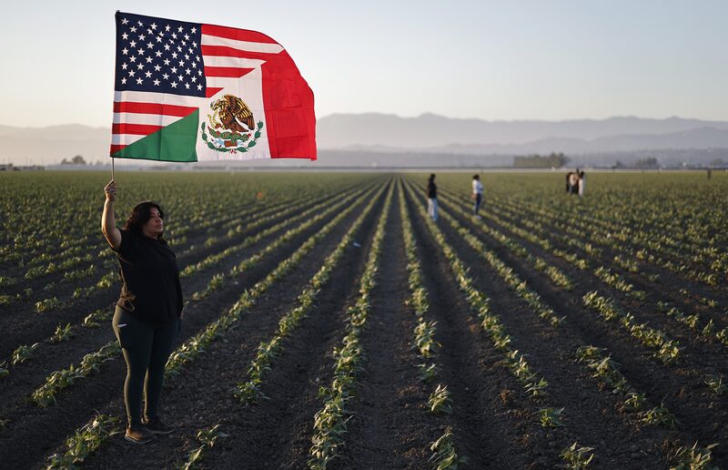 Inmigrantes Inmigrantes