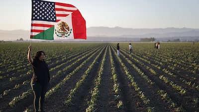 Los republicanos no temen una reacción violenta contra las políticas de inmigración, pero deberían Los republicanos no temen una reacción violenta contra las políticas de inmigración, pero deberían